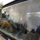 Image for article titled Animal Feces, Doors Falling Off, Huge Rust Holes: Here's Everything Wrong With David Tracy's $1500 Jeep FC